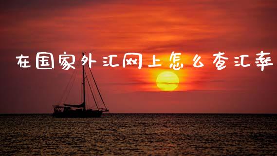 在国家外汇网上怎么查汇率_https://m.15771688.com_期货开户_第1张
