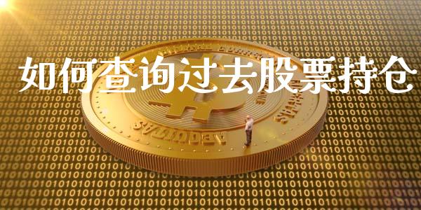 如何查询过去股票持仓_https://m.15771688.com_期货开户_第1张