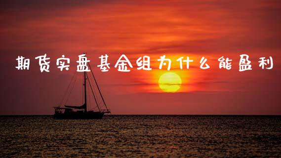 期货实盘基金组为什么能盈利_https://m.15771688.com_期货手续费_第1张