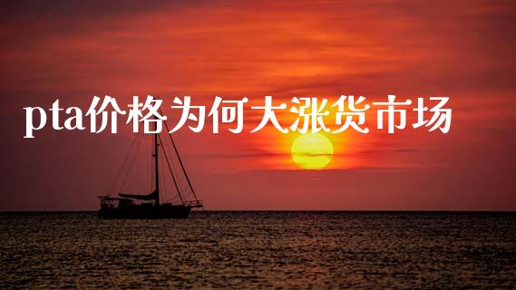 pta价格为何大涨货市场_https://m.15771688.com_期货手续费_第1张