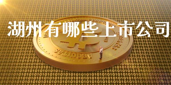 湖州有哪些上市公司_https://m.15771688.com_道指实时行情_第1张