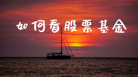 如何看股票基金_https://m.15771688.com_美国道指_第1张