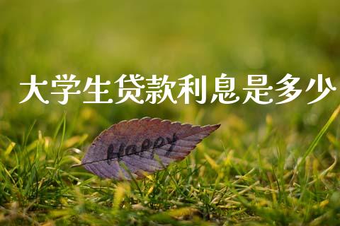 大学生贷款利息是多少_https://m.15771688.com_道指实时行情_第1张