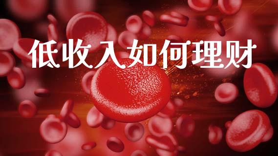 低收入如何理财_https://m.15771688.com_期货手续费_第1张
