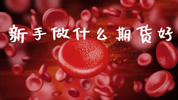 新手做什么期货好_https://m.15771688.com_期货开户_第1张
