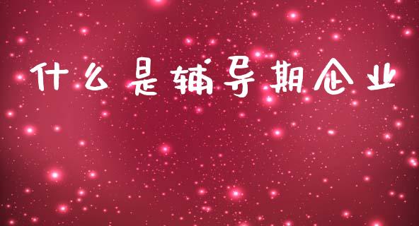 什么是辅导期企业_https://m.15771688.com_期货手续费_第1张