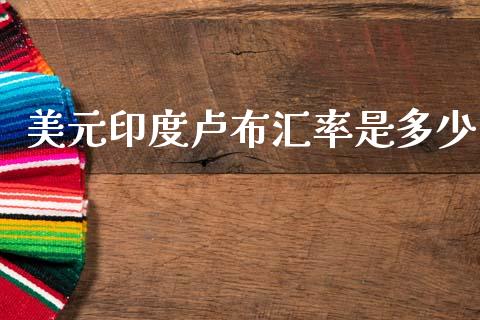 美元印度卢布汇率是多少_https://m.15771688.com_期货手续费_第1张
