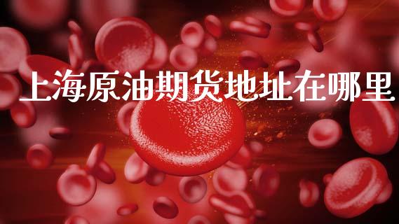 上海原油期货地址在哪里_https://m.15771688.com_期货手续费_第1张