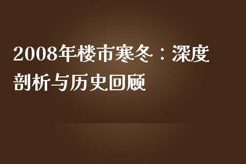 2008年楼市寒冬：深度剖析与历史回顾_https://m.15771688.com_美国道指_第1张