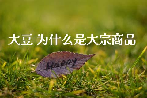 大豆 为什么是大宗商品_https://m.15771688.com_期货开户_第1张