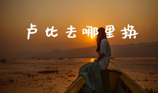 卢比去哪里换_https://m.15771688.com_期货手续费_第1张