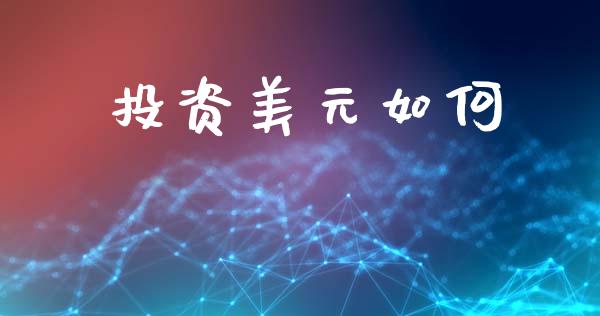 投资美元如何_https://m.15771688.com_期货开户_第1张
