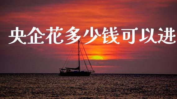 央企花多少钱可以进_https://m.15771688.com_期货开户_第1张