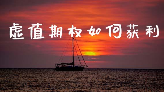 虚值期权如何获利_https://m.15771688.com_期货开户_第1张