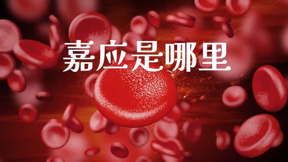 嘉应是哪里_https://m.15771688.com_美国道指_第1张