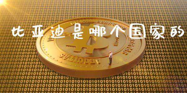 比亚迪是哪个国家的_https://m.15771688.com_期货手续费_第1张