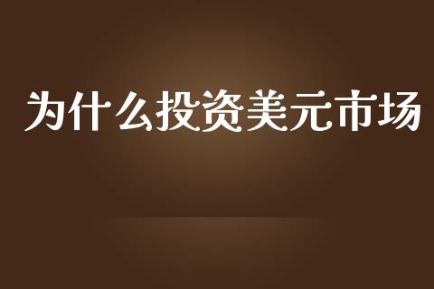 为什么投资美元市场_https://m.15771688.com_期货开户_第1张