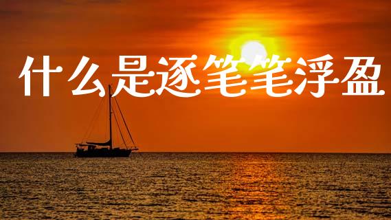 什么是逐笔笔浮盈_https://m.15771688.com_期货开户_第1张