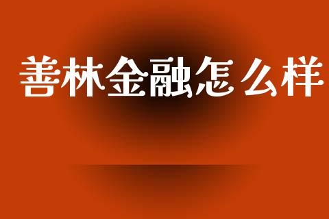 善林金融怎么样_https://m.15771688.com_美国道指_第1张