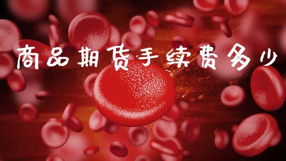 商品期货手续费多少_https://m.15771688.com_美国道指_第1张
