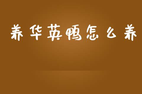 养华英鸭怎么养_https://m.15771688.com_期货开户_第1张