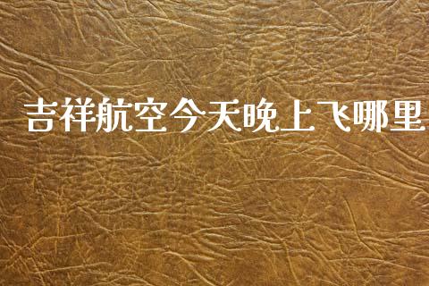吉祥航空今天晚上飞哪里_https://m.15771688.com_道指实时行情_第1张