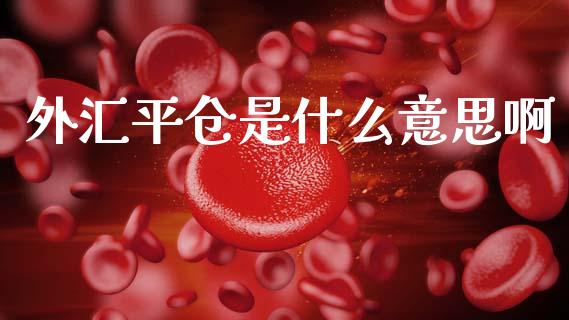 外汇平仓是什么意思啊_https://m.15771688.com_道指实时行情_第1张