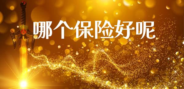 哪个保险好呢_https://m.15771688.com_美国道指_第1张