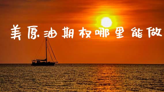 美原油期权哪里能做_https://m.15771688.com_美国道指_第1张