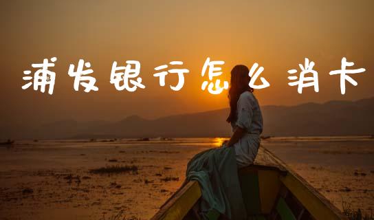 浦发银行怎么消卡_https://m.15771688.com_道指实时行情_第1张