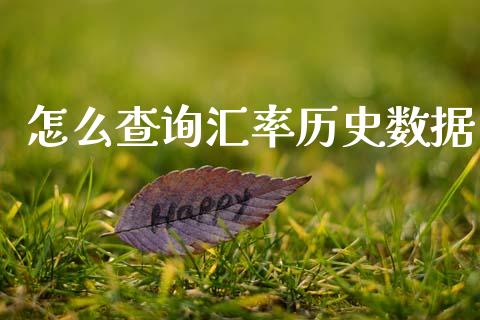 怎么查询汇率历史数据_https://m.15771688.com_美国道指_第1张