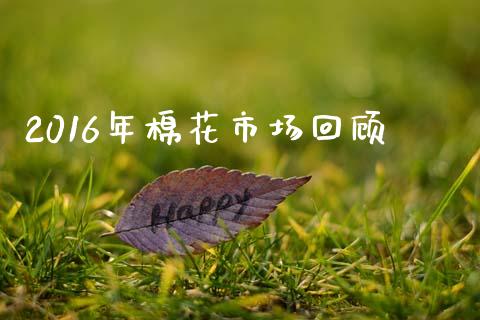 2016年棉花市场回顾_https://m.15771688.com_道指实时行情_第1张