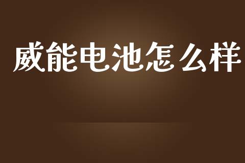 威能电池怎么样_https://m.15771688.com_道指实时行情_第1张