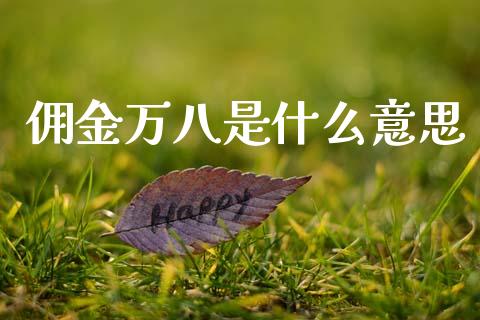 佣金万八是什么意思_https://m.15771688.com_美国道指_第1张