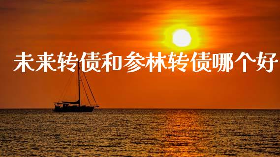 未来转债和参林转债哪个好_https://m.15771688.com_期货开户_第1张