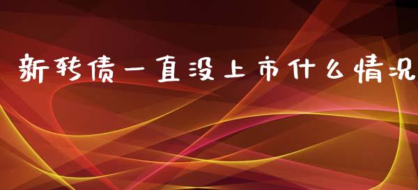 新转债一直没上市什么情况_https://m.15771688.com_道指实时行情_第1张