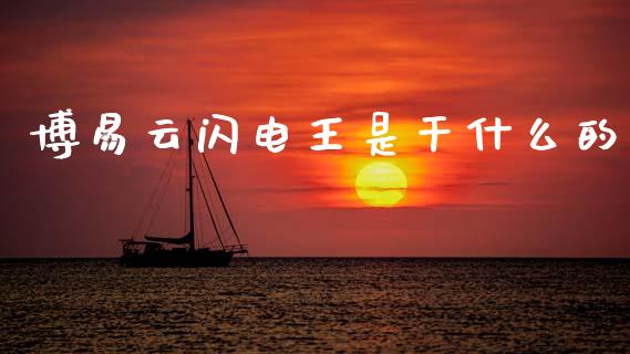 博易云闪电王是干什么的_https://m.15771688.com_期货开户_第1张