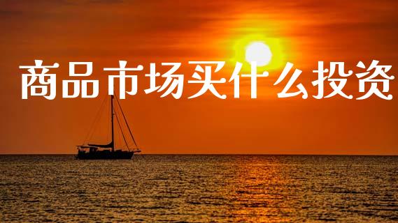 商品市场买什么投资_https://m.15771688.com_期货手续费_第1张