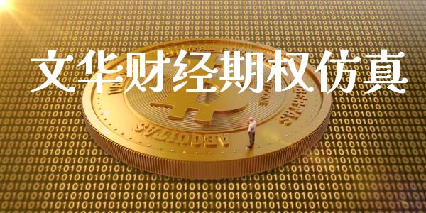 文华财经期权仿真_https://m.15771688.com_美国道指_第1张