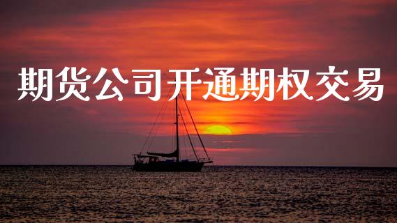 期货公司开通期权交易_https://m.15771688.com_道指实时行情_第1张