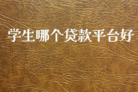 学生哪个贷款平台好_https://m.15771688.com_期货开户_第1张