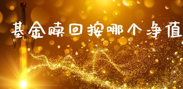 基金赎回按哪个净值_https://m.15771688.com_期货开户_第1张