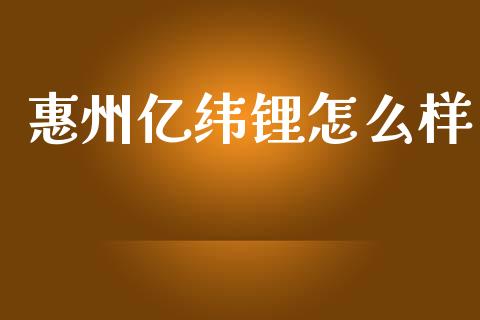 惠州亿纬锂怎么样_https://m.15771688.com_期货手续费_第1张