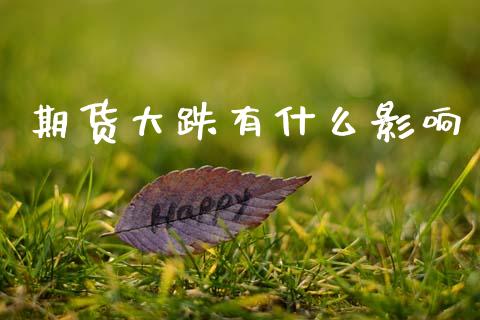 期货大跌有什么影响_https://m.15771688.com_期货手续费_第1张