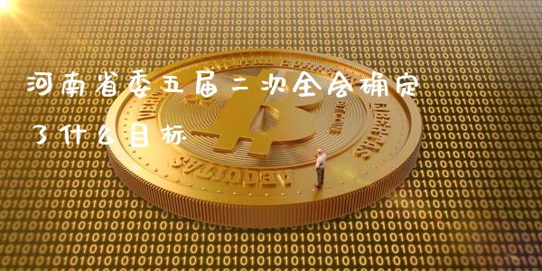 河南省委五届二次全会确定了什么目标_https://m.15771688.com_美国道指_第1张