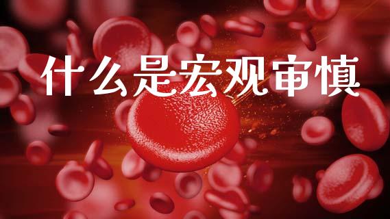 什么是宏观审慎_https://m.15771688.com_期货手续费_第1张