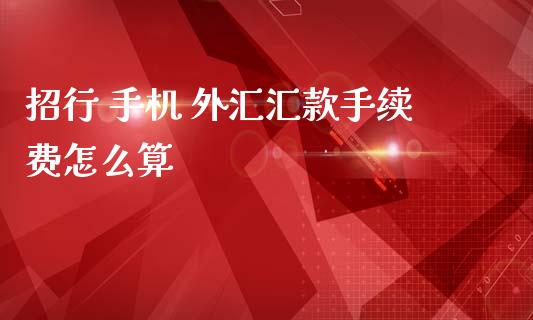 招行 手机 外汇汇款手续费怎么算_https://m.15771688.com_期货手续费_第1张