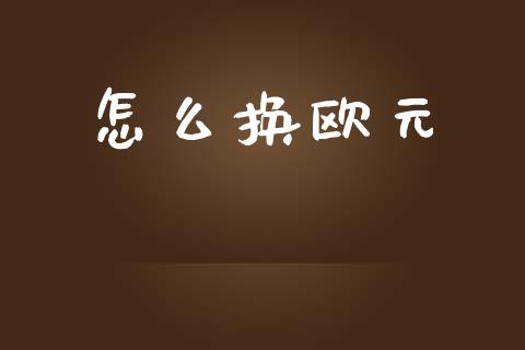 怎么换欧元_https://m.15771688.com_期货手续费_第1张