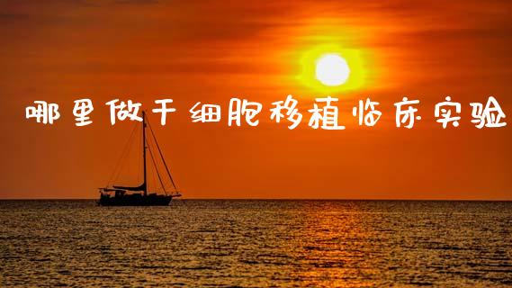 哪里做干细胞移植临床实验_https://m.15771688.com_期货手续费_第1张