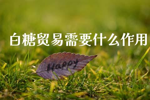 白糖贸易需要什么作用_https://m.15771688.com_期货手续费_第1张